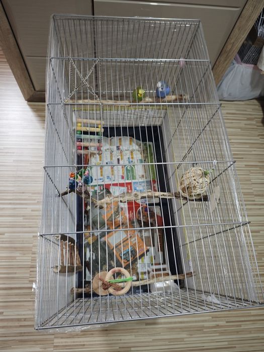 Colivie pentru papagali, peruși, nimfe etc