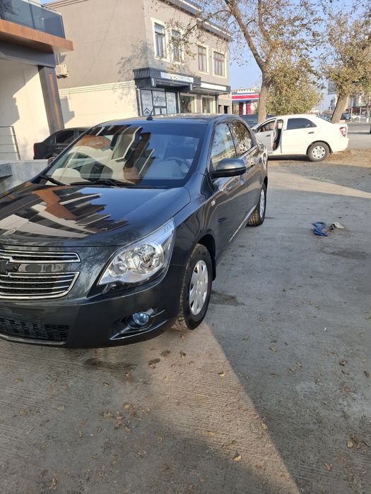 Кобилт 2019 йил радной краска