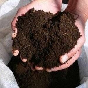 Biyogums sifatli  bir yilik
