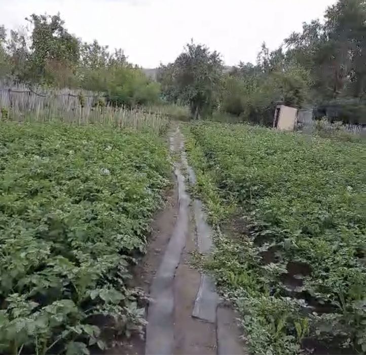 Продается дачный участок, 12 соток