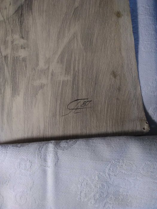 Продавам картина на художника Светлана Н. Привалова