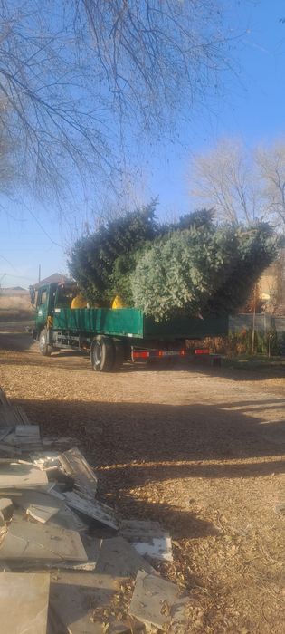 Услуги манипулятора