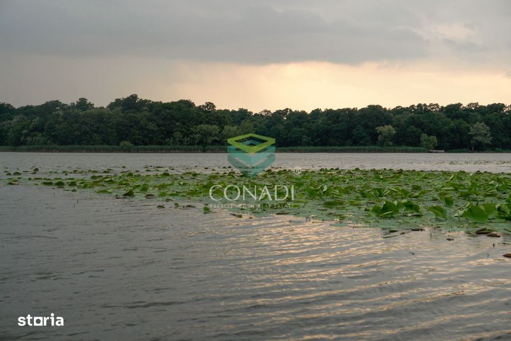 Oportunitate-Teren Snagov cu Deschidere Directa Lac si Padure 12.135mp