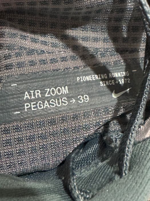 Nike Pegasus 39.