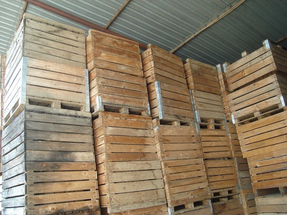 boxpaleti din lemn