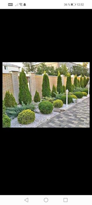 Grădini Unice – Plante Selecte, Gazon Dens și Detalii Decorative!