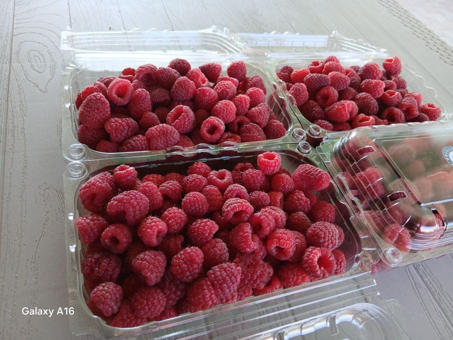 Zmeura proaspata si aromata