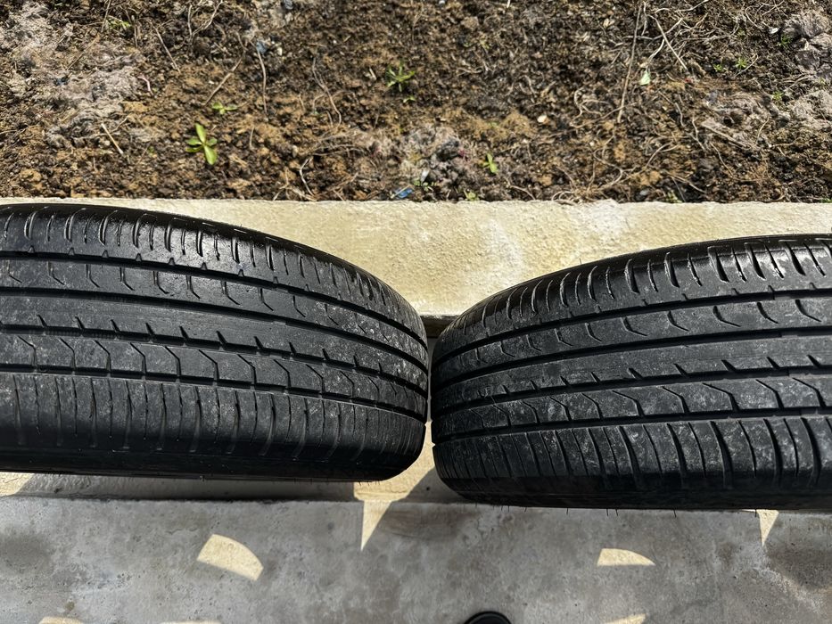 Арбузный с шынай