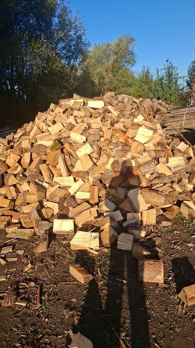 Vand lemne de foc din rasinoase