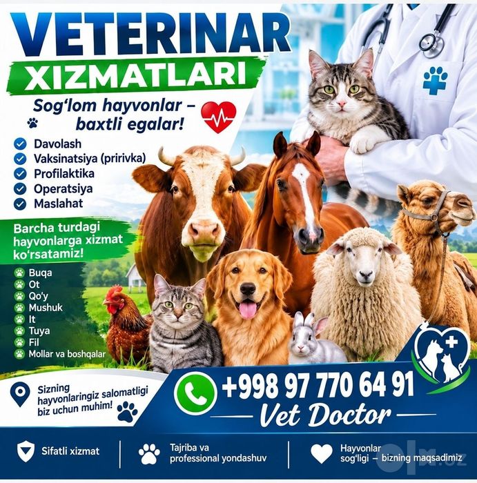 Ветеринар Шайхантахурский Район 24/7 круглосутоно24/7  . хасанхожи