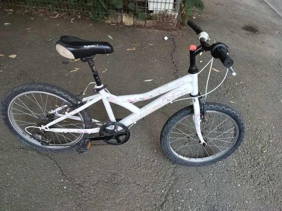 Bicicleta princess 20'