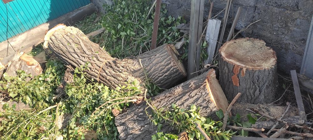Отдам даром дрова