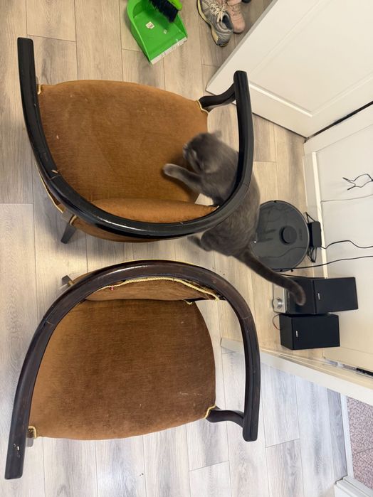 Стулья дерево б/у