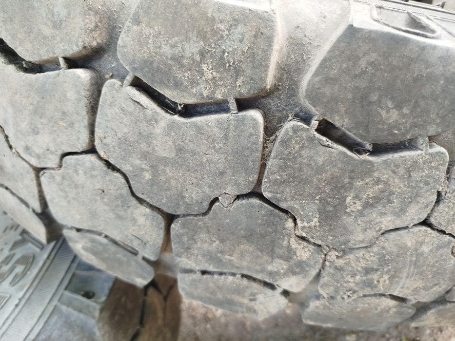 Продам резину газ 53