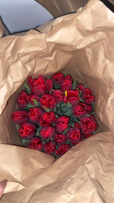 Свежие по  300 тг