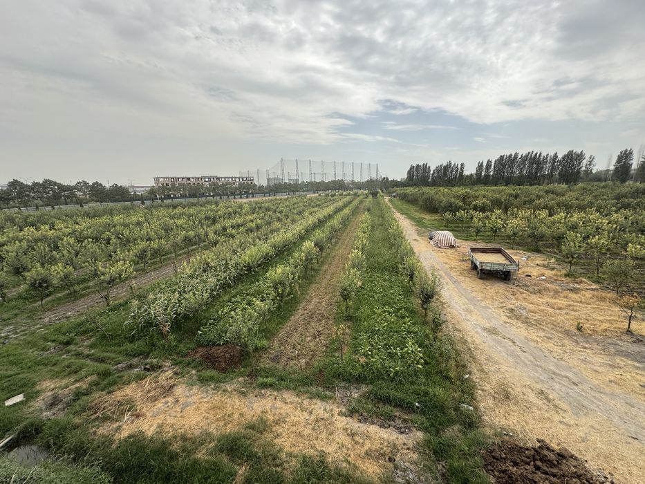 Продается земля под строительство Янги Узбекистан