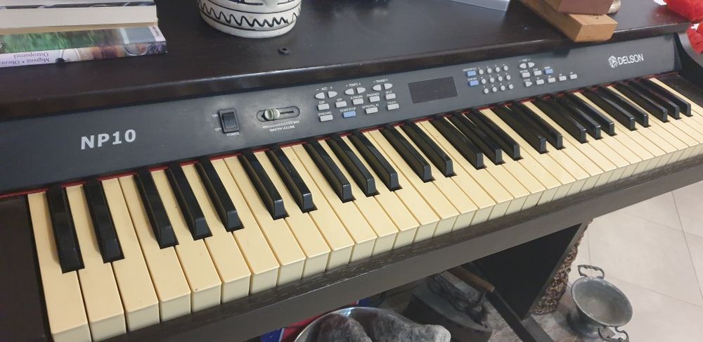 Pian electric Delson