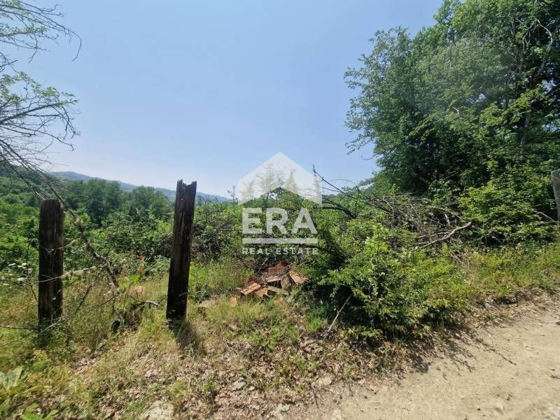 Парцел с къща в с. Друмохар