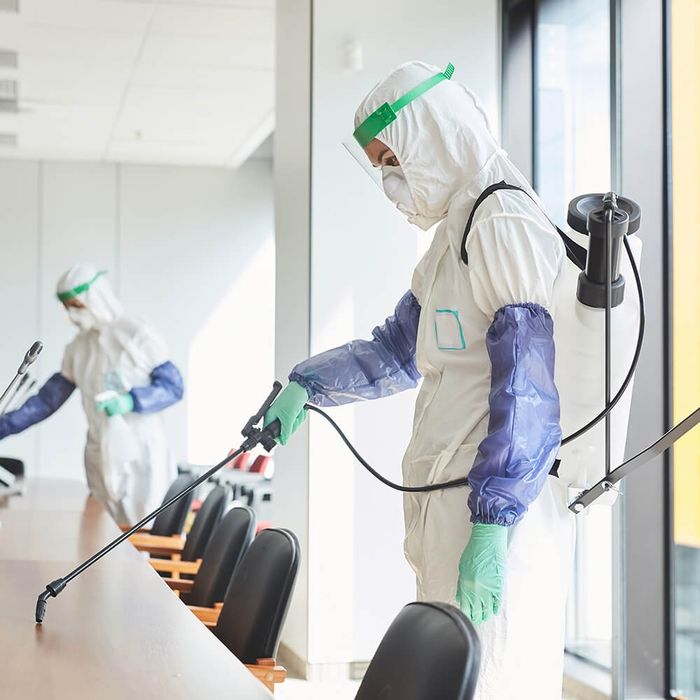 Servicii profesionale DDD – deratizare | dezinsecție | dezinfecție