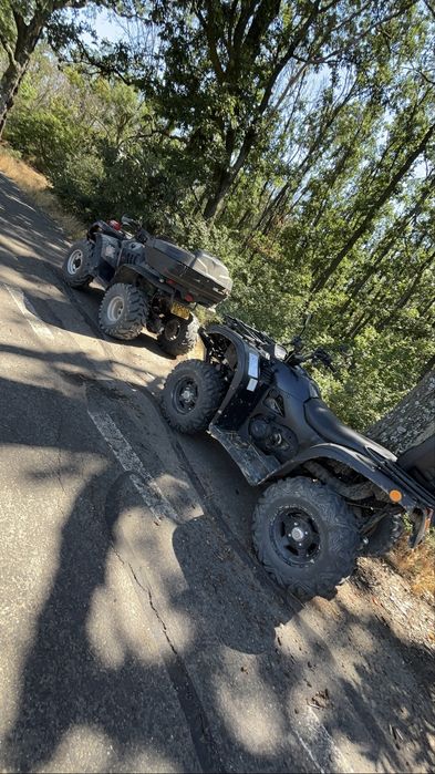 Grizzly de 500 cu acte
