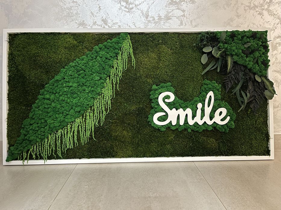 Tablouri cu plante naturale stabilizate,licheni , muschi