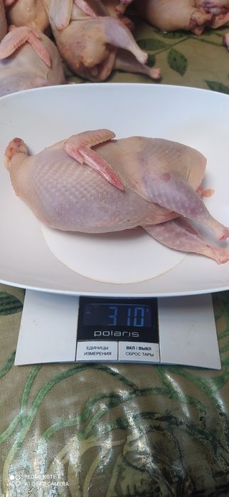 Мясо перепелиное. Перепела.