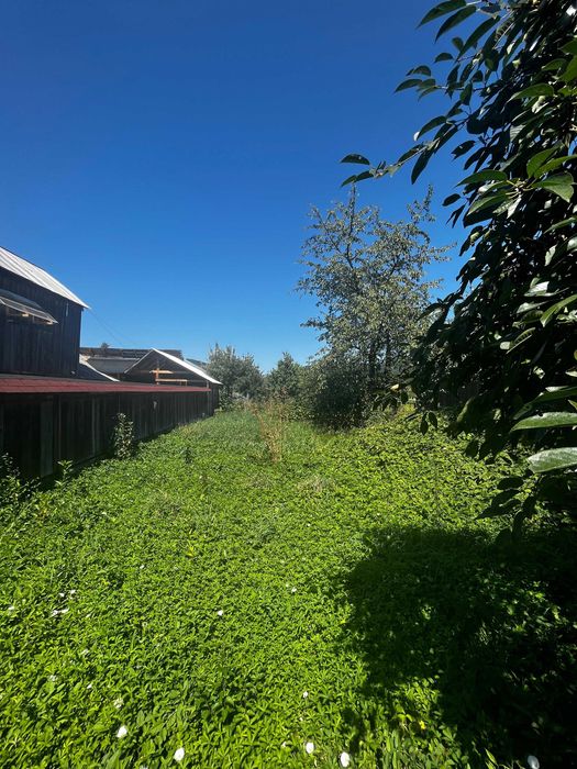 Vând casă cu etaj și teren Vânători Neamț langa Târgu Neamt