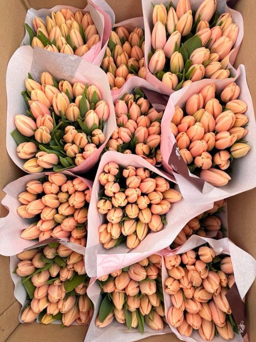 Тюльпаны оптом в розницу/ корпоративные заказы