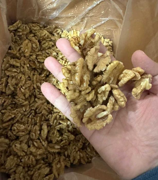 Vand miez de nuca NOU, productie 2025