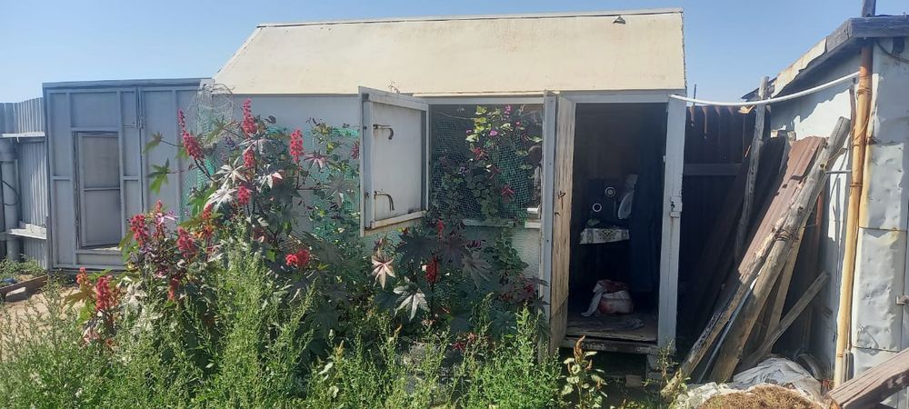 Дача. Общество " Ромашка "