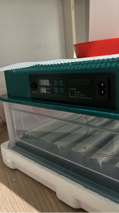 инкубатор на 36 яиц