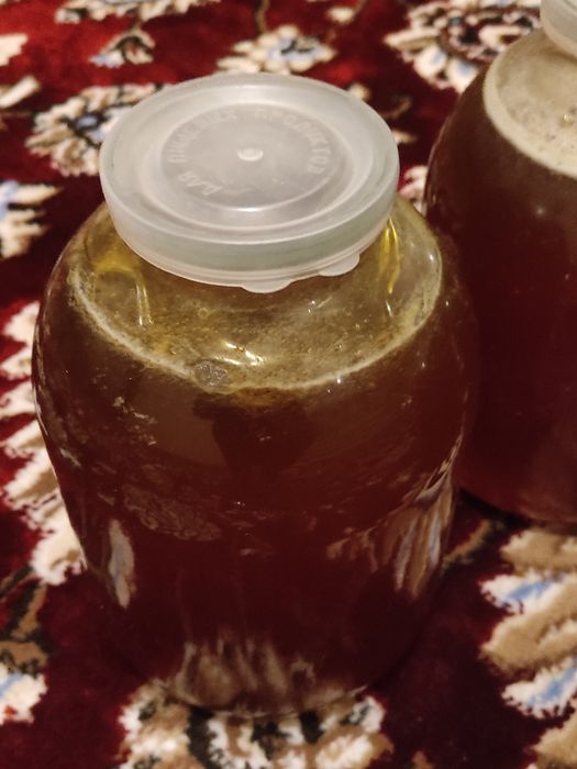 Tozza tabbiy tog asali