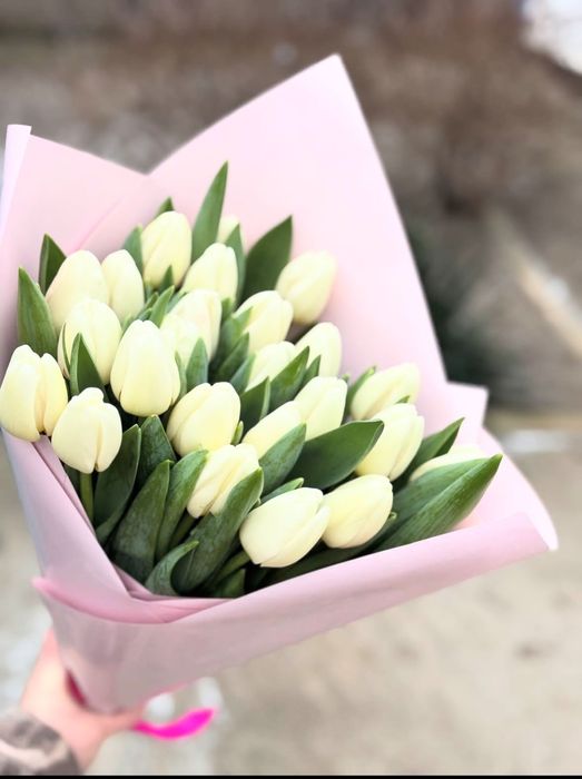 Тюльпаны 680 тг/шт