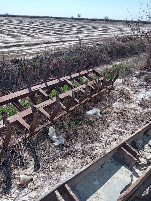 Taktoga pulg Chizil selkasi ham bor