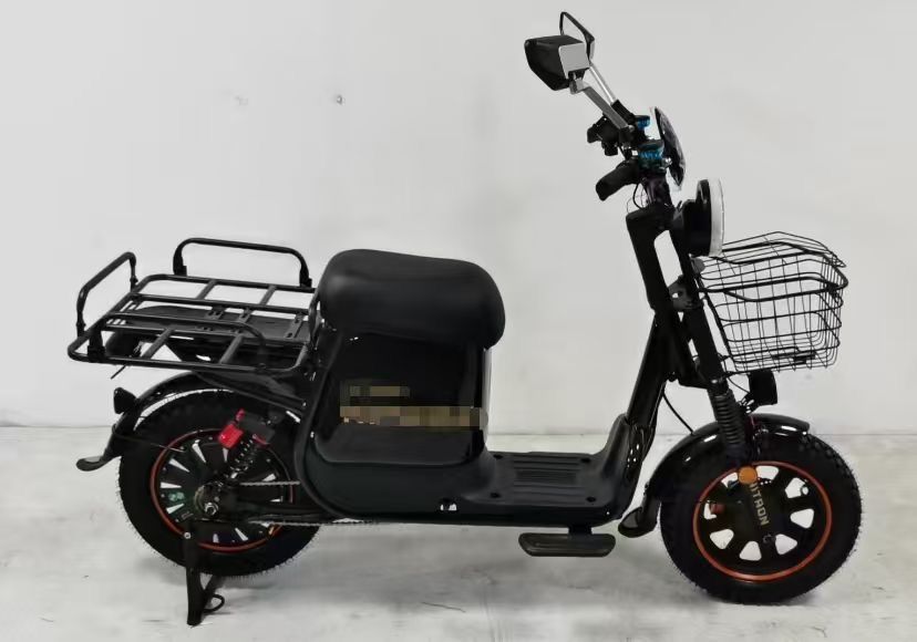 Аренда электровелосипеда