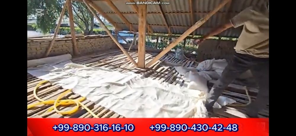 Peno lomboz, Tom quyish, Том Шувок Palesterol lomboz,