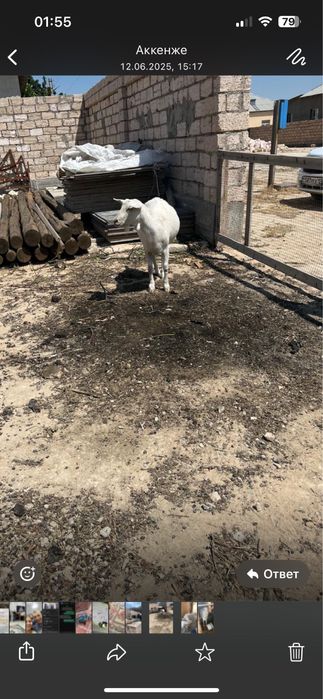 Решотка бар 20 шт ограждения