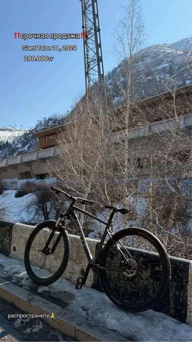 Giant Talon 1 2024 размер рамы L