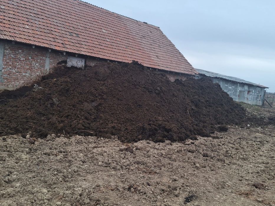 Gunoi de grajd de vânzare