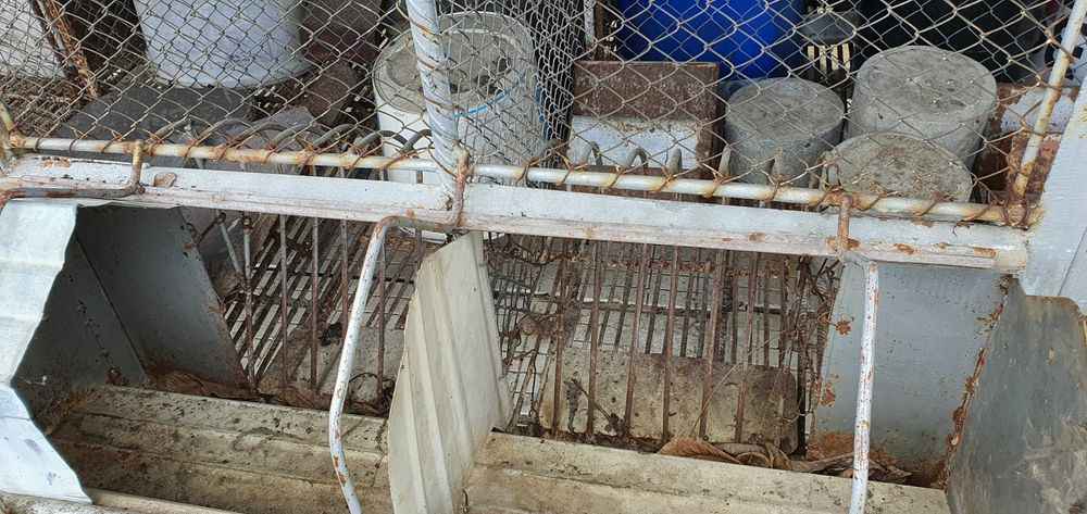 Зайчарници с.Скутаре Пловдивско