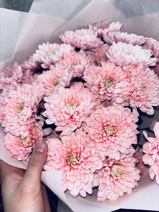 Продаю букет хризантема