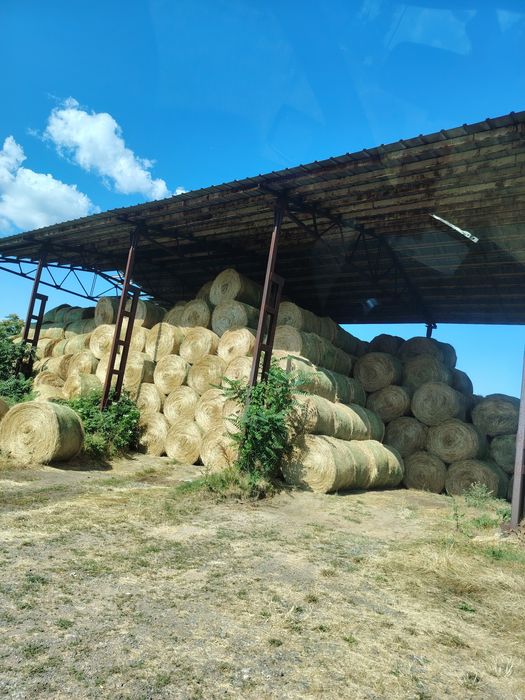 ролонни балли люцерна, сено слама