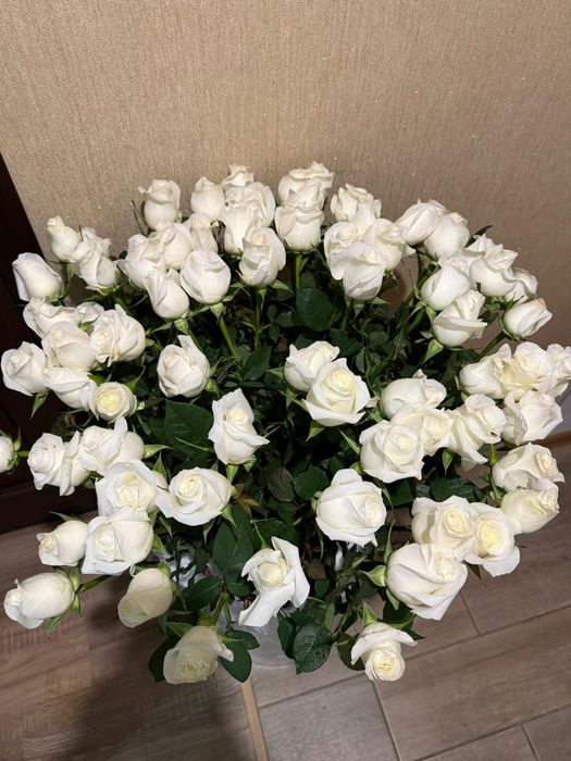 Продам цветок роза