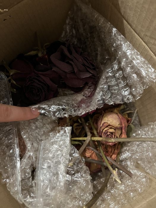 продам сухие цветы