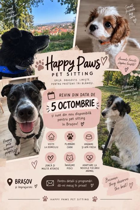 pet sitter brasov