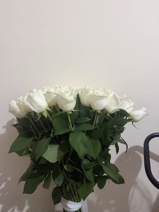 Белые розы 51 шт