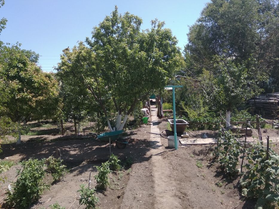 Продается дом 7 комн. (торг)