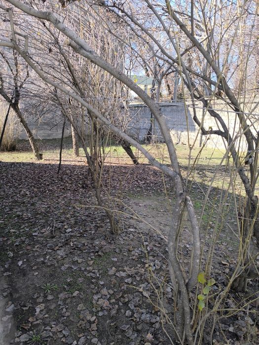 Коттедж Спутник 10. Первая линия. Фасад 20 метро. 5,5 соток