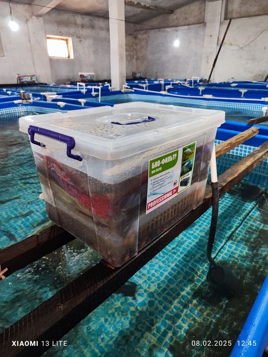 Basseynlar sotiladi b/u baliqlari ham bor