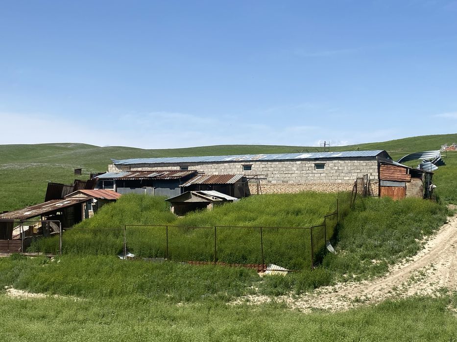 Продам фазенду срочно